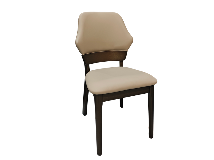 Dining Chair (09)